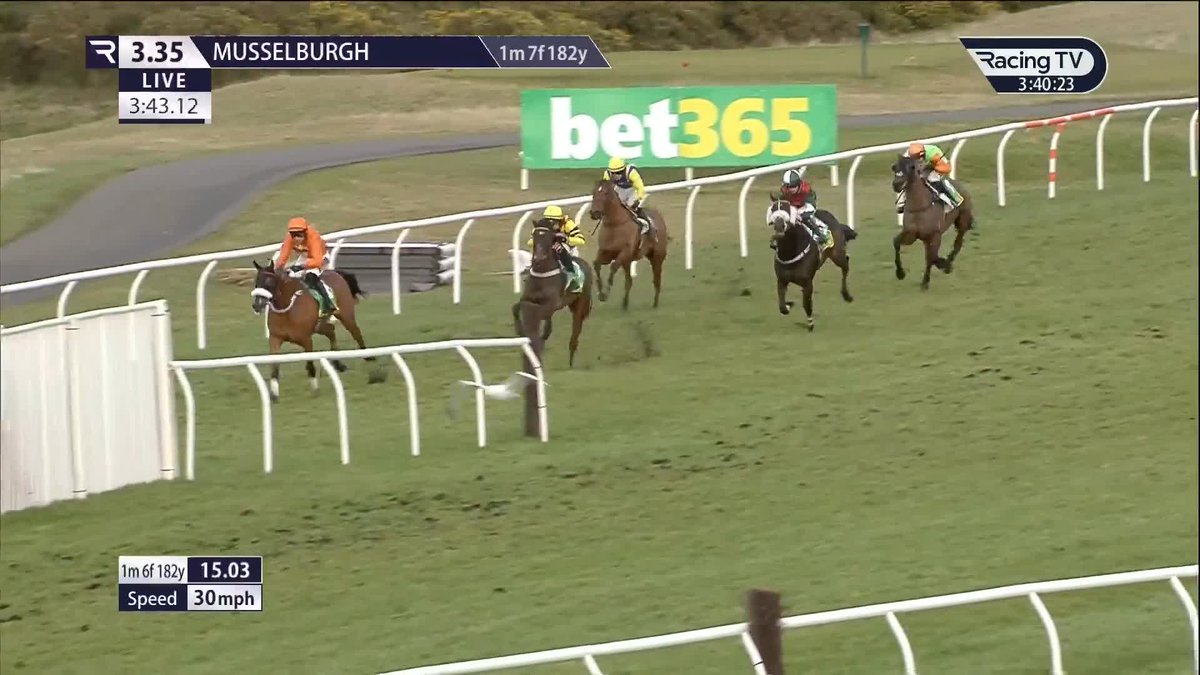 ๐๐ก๐ข๐ฌ๐ญ๐ฅ๐ ๐๐ฌ๐ค (17-2) provides the answers to the bet365 Handicap Chase Musselburgh Racecourse ๐จ James Ewart Racing's inmate has had his issues over the years but looked a different beast this time under ryan mania