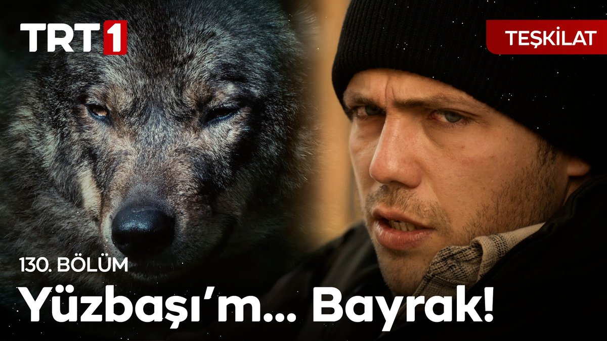 Bayrak yere inmez! 🇹🇷 #Teşkilat Teşkilat