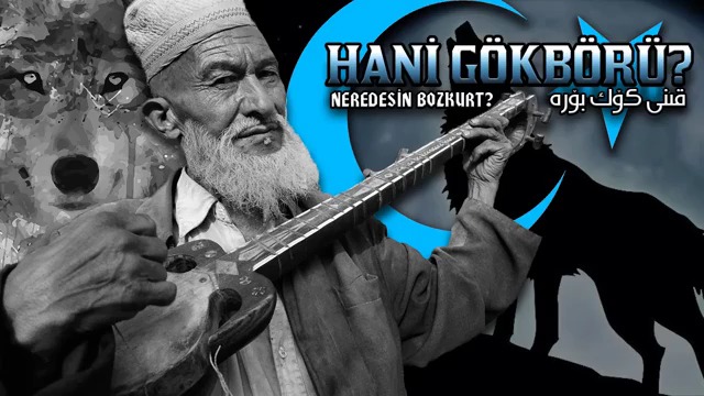 Hani Gökbörü?