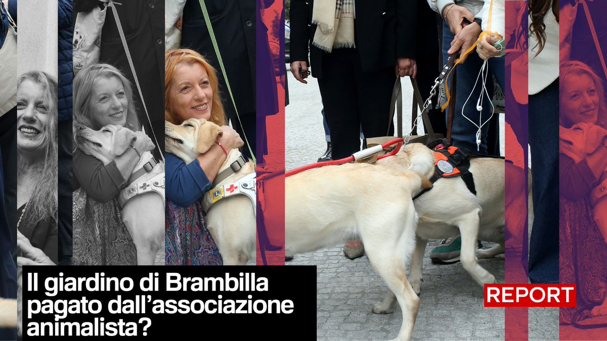 Una spesa fatta dalla Leidaa, l'associazione per i diritti degli animali di cui è presidente Michela Vittoria Brambilla, ha attirato la nostra attenzione. E cioè le fatture per "potatura piante", "cancello giardino" presso Calolziocorte, dove si trova la villa della parlamentare