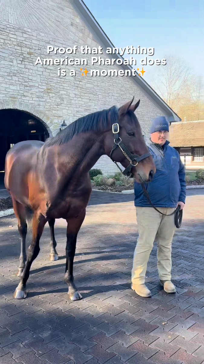 When you're American Pharoah, even eating carrots gives people goosebumps. Happy birthday to an icon! 🎉