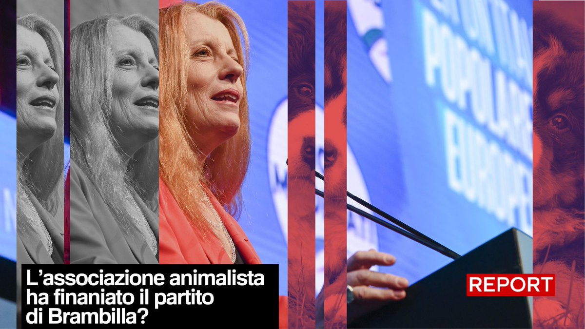 Nel 2017 Brambilla fonda il Movimento animalista, il primo partito dedicato interamente agli animali. Sembrerebbe che la Leidaa, onlus della Brambilla, ha finanziato varie spese per i pullman, i service per le dirette e tessere di partito.