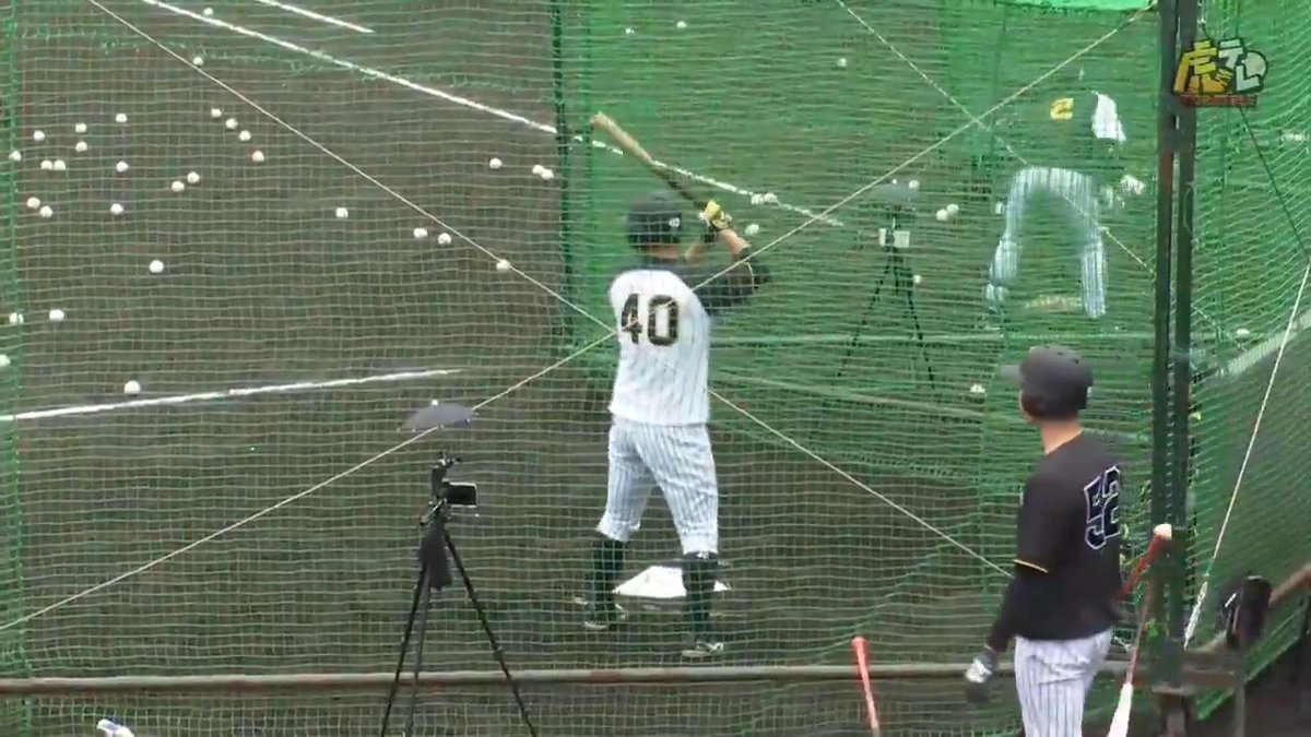 【宜野座】 飛距離アップでアピールを続ける高卒3年目、井坪選手！ #hanshin #虎テレ #阪神タイガース 虎テレでは春季キャンプをライブ配信