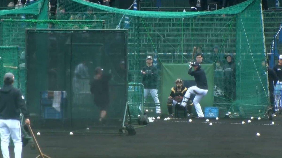 フリー打撃で柵越えを放つ #西川史礁 選手。 #chibalotte #MarinesSpringCamp
