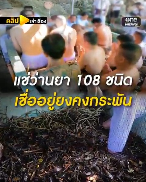 ชายชาตรีแห่แช่ว่านยา 108 ชนิด วัดเขาอ้อ เชื่ออยู่ยงคงกระพัน #สำนักข่าววันนิวส์