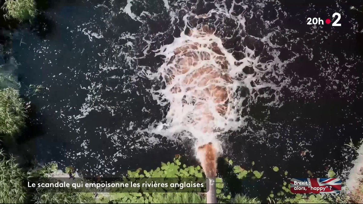 💀💧 Au Royaume-Uni, ce scandale qui empoisonne les rivières Privatisé depuis Thatcher et victime de sous-investissements, le réseau d'égouts déborde allègrement et les eaux usées se déversent dans la Manche et la mer du Nord.