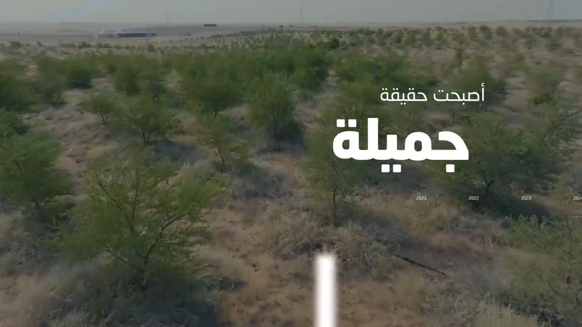 #واحة_بريدة.. قصة إنجاز