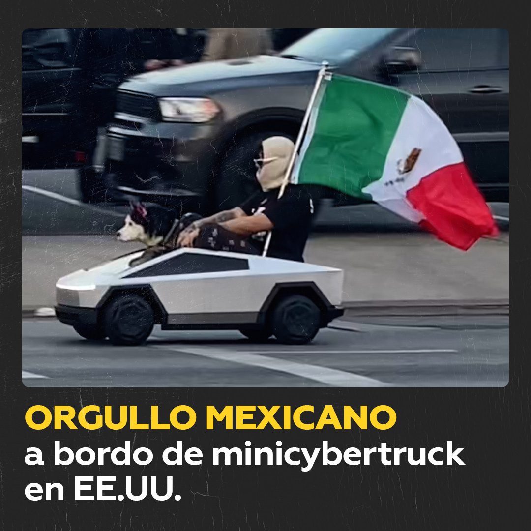 🇲🇽 🛻 Bandera mexicana ondea en una minicybertruck en EE.UU. Un mexicano protestó contra las deportaciones de Trump ondeando la bandera de su país en una minicybertruck y acompañado de su perro.