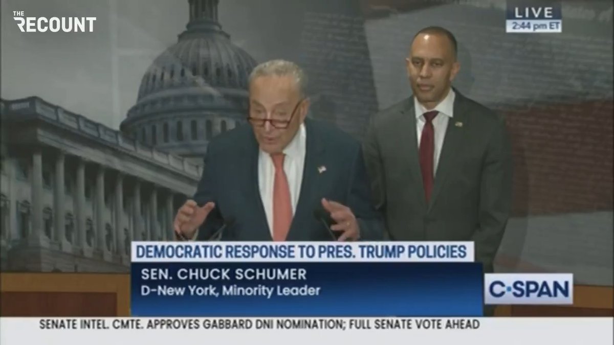 Chuck Schumer: “DOGE is not a real government agency. It has no authority to make spending decisions, to shut down programs, or ignore federal law. This is not debatable.”