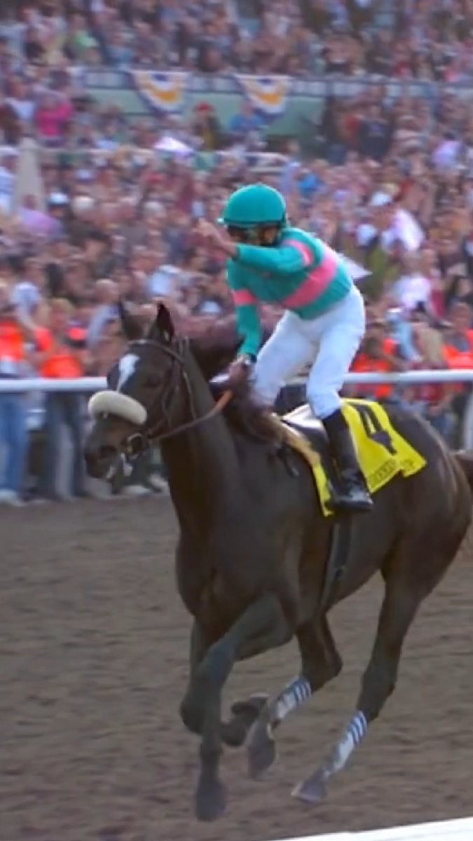 "The way she looked at you in the eye was different." 👑 Relive Zenyatta's #BreedersCup "performance we'll never forget" with ambassador Bo Derek.
