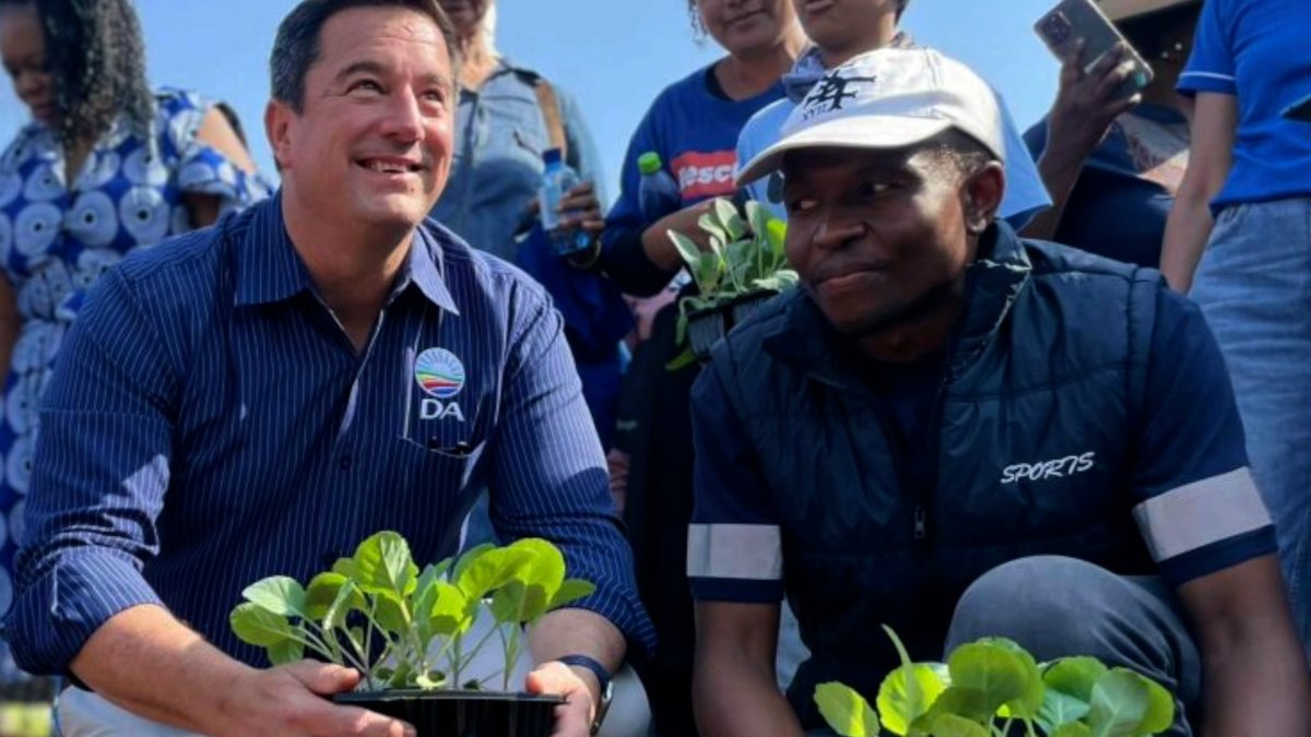 🇿🇦 The DA is delivering, and the Party understands that to grow the economy and create more jobs, the GNU must do more, faster! Ahead of the 2025 State of the Nation Address, watch this to reflect on some key milestones achieved by the DA in national government. Let's #RescueSA.