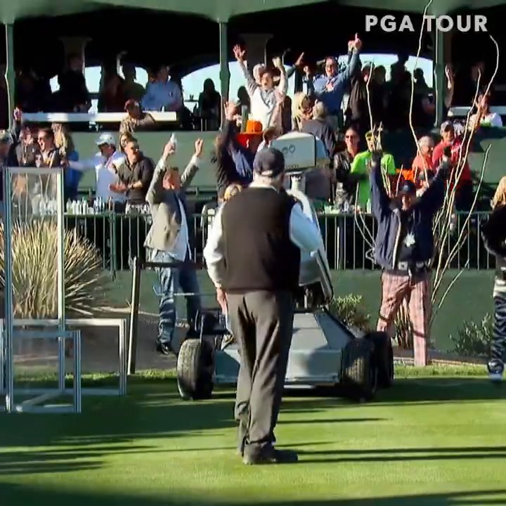 You never know what you'll see WM Phoenix Open 😵 #TOURVault