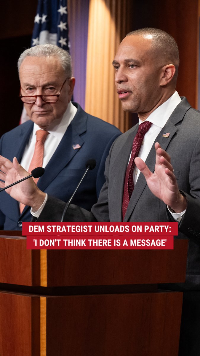 LIBERAL LETDOWN: Longtime strategist who served under former President Clinton slams the party for pushing "hate, division, polarization and fearmongering" — arguing Democrats need to look in the mirror after their message "failed" to resonate with Americans in the 2024 election.