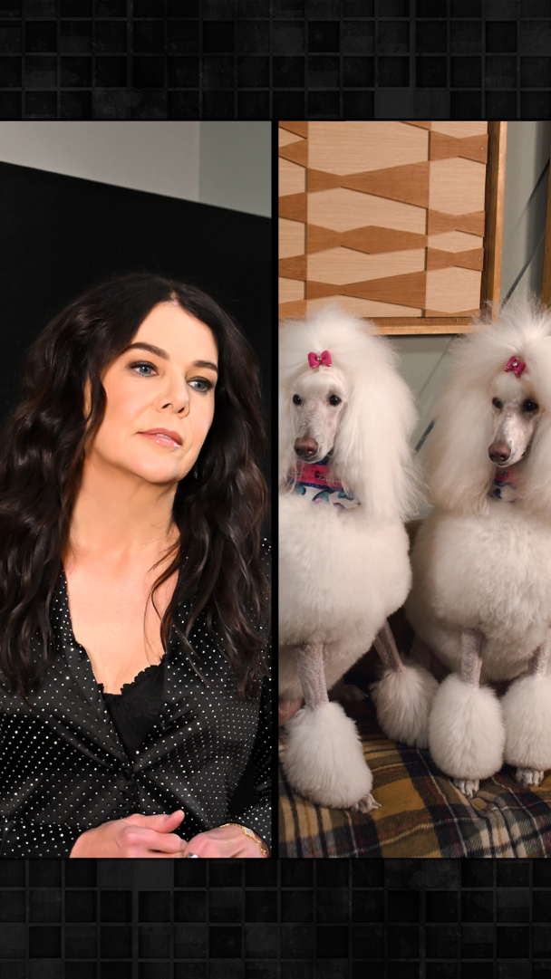 Where Lauren Graham leads, poodles will follow. #FallonTonight