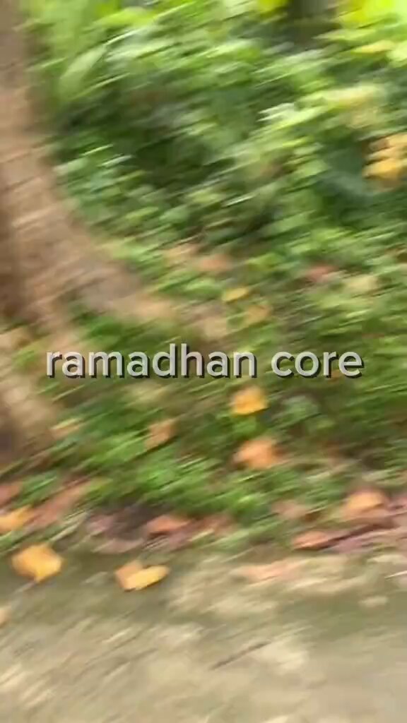 kayaknya ramadhan tahun ini seru, setuju gak?