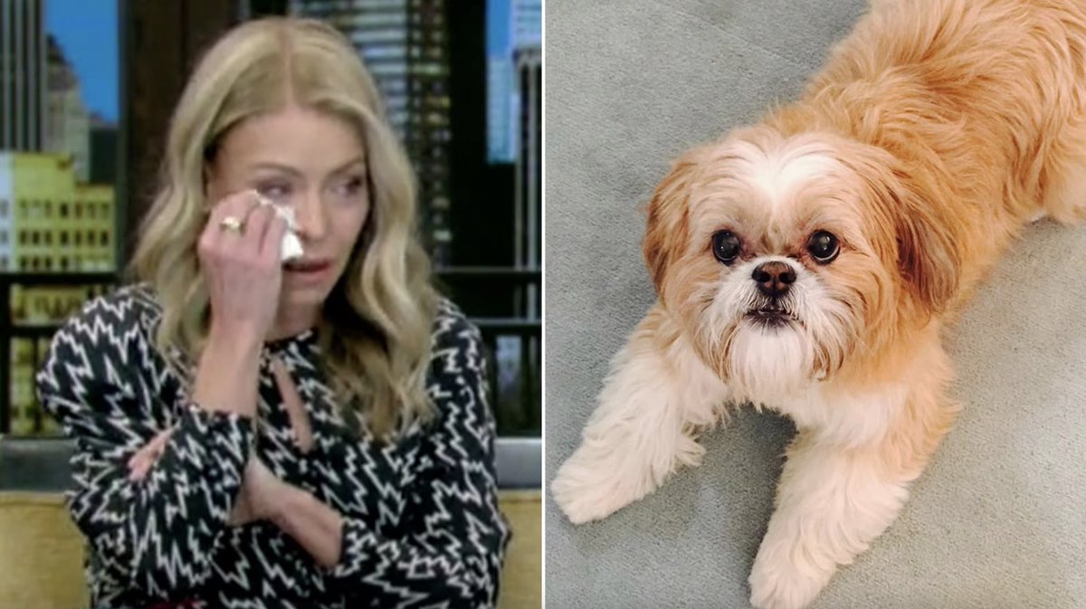 Kelly Ripa and Mark Consuelos are mourning a difficult loss.