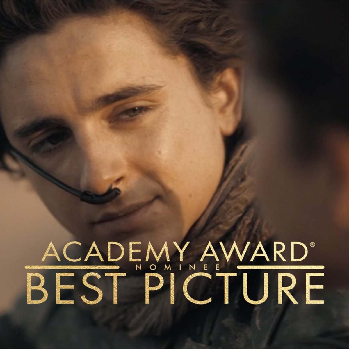 Dune: Part Two, hailed by IndieWire as “one of the most flat-out beautiful epics since the glory days of David Lean” and now nominated for Best Picture of the Year