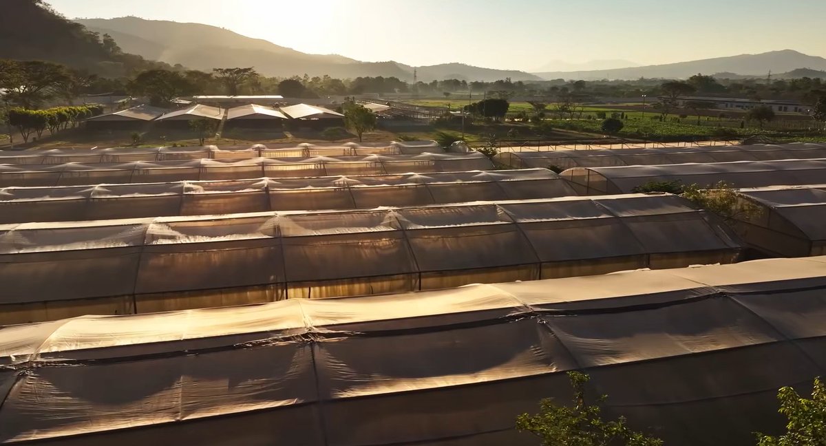 The best prison system in the world. El mejor sistema penitenciario del mundo.