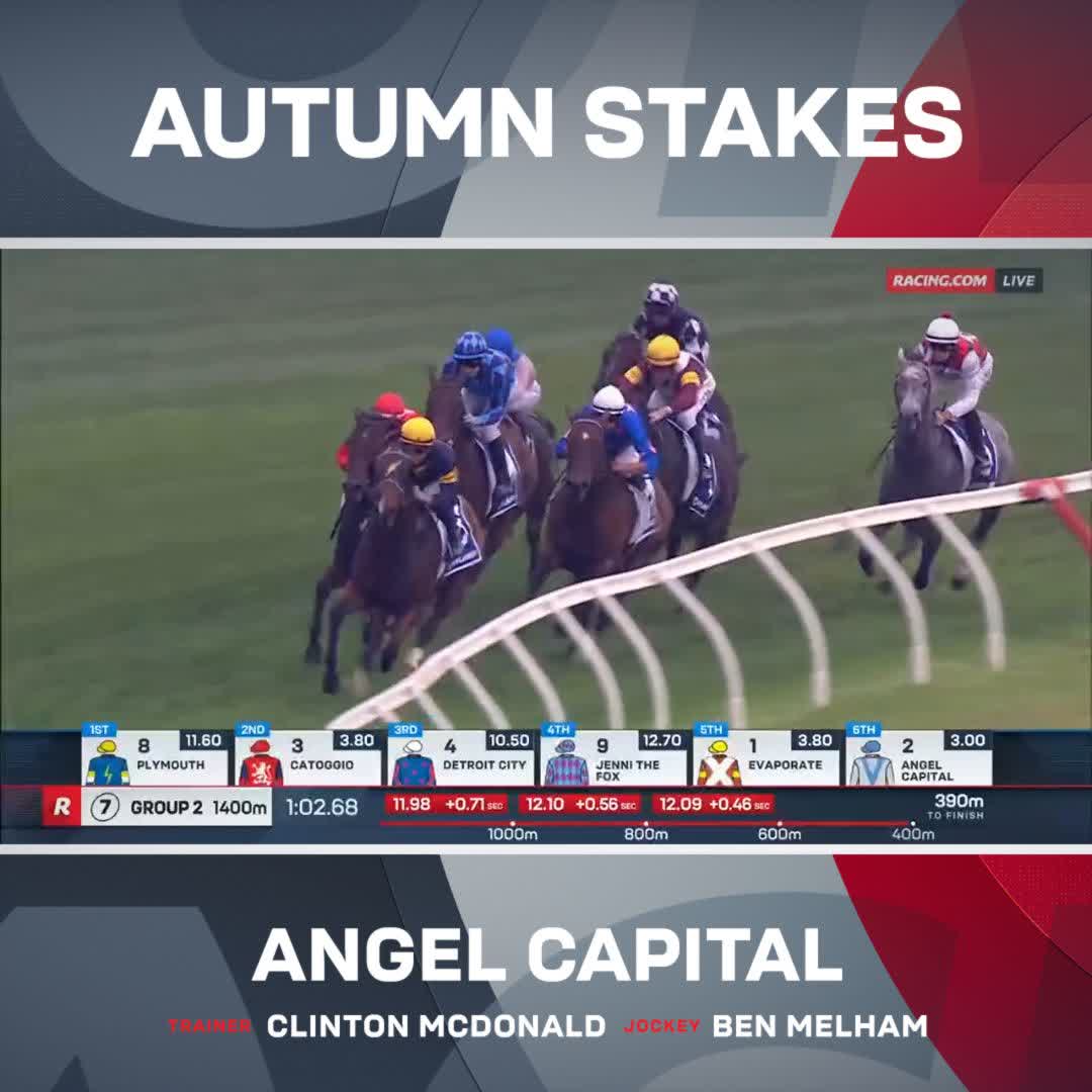 What an impressive return by Angel Capital in the G2 Autumn Stakes 😇 C McDonald Racing Ben melham