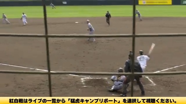 【宜野座】 3回裏、中野選手が得意の流し打ちでクリーンヒット！1点を返す！ #hanshin #虎テレ #阪神タイガース 虎テレでは春季キャンプをライブ配信