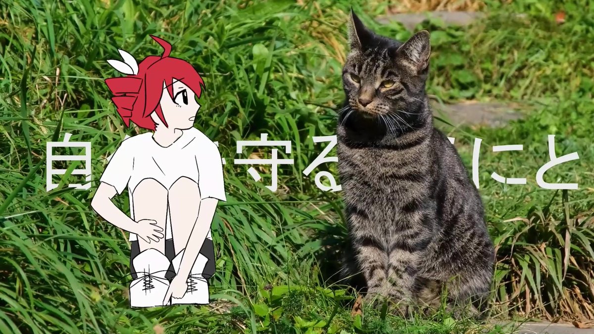 【新曲】 『知らんけど / 重音テトSV』を投稿しました #vocaloPost