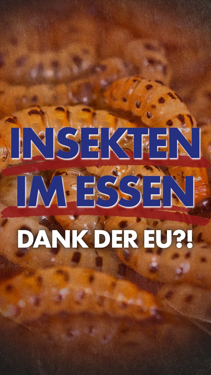 Die #EU packt #Würmer in dein Essen – ohne, dass du’s merkst! Ab dem 10. Februar könnten in deinem Brot, deiner Pasta oder deinem Kuchen bis zu 4 % Insekten stecken – legal und von der EU abgesegnet. Sie nennen es “nachhaltiges #Protein”, wir nennen es ekelhaft. Erst hieß es, #Fleisch sei böse – jetzt gibt’s #Insektenmehl zum Frühstück. Was kommt als nächstes?