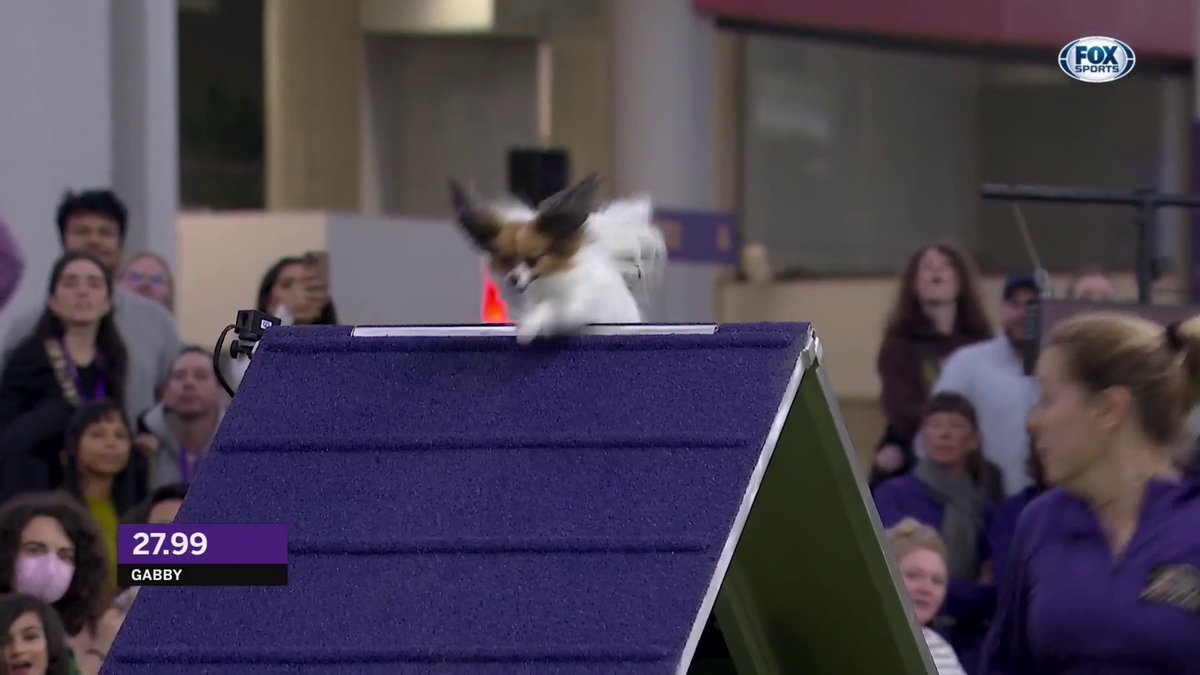 LOOK AT THOSE LITTLE LEGS GO! 😍 Goodness, Gabby, what a run.