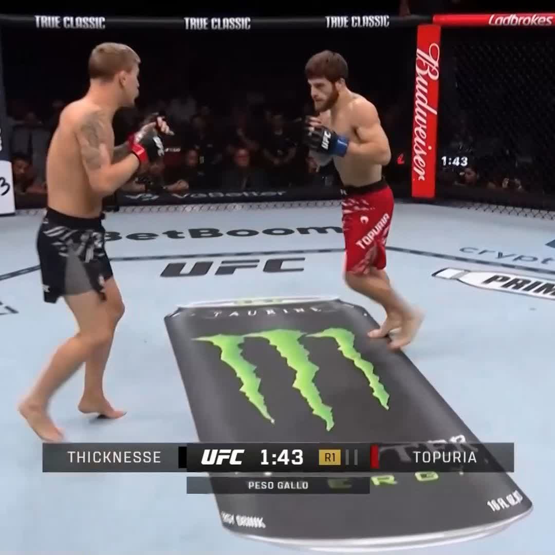 🦁 Aleksandre Topuria, caza a su presa! #UFC312
