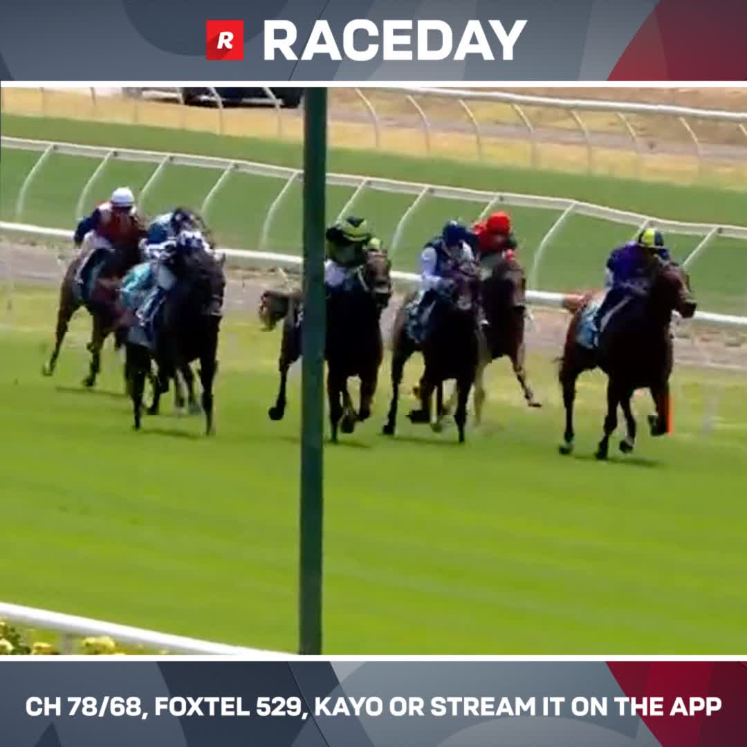 Ornos rallies in the final furlong to pick up a win on debut 💥 Danny O'Brien Blake Shinn