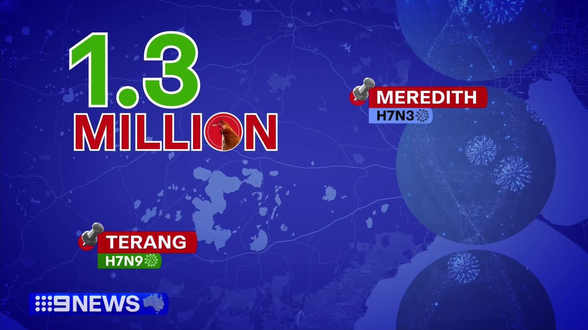Supermarkets across Australia could be hit with egg shortages, after a new strain of bird flu was detected at a farm in Victoria's north-east. #9News