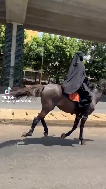 Galloping 🐎