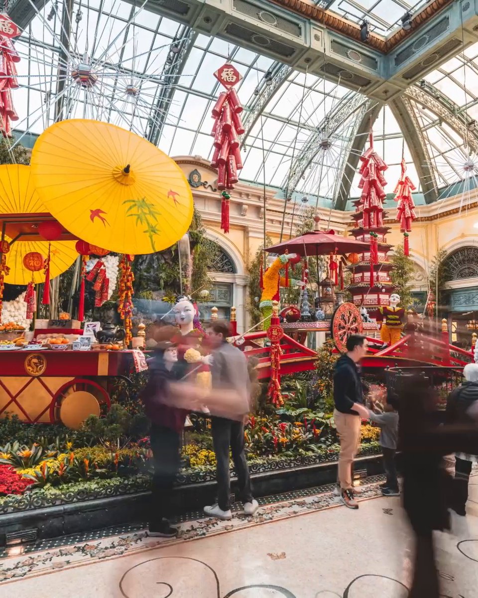 A celebration of intuition, charm, and success comes to life in our Conservatory &amp; Botanical Gardens. Wander through our Lunar New Year display, now on view through March 1.