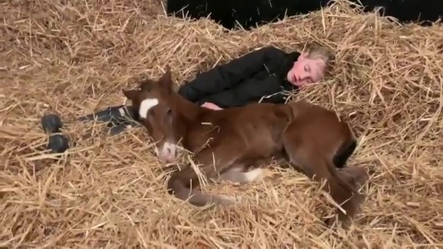 This foal and buddy know how to enjoy a #LazySunday! 😴