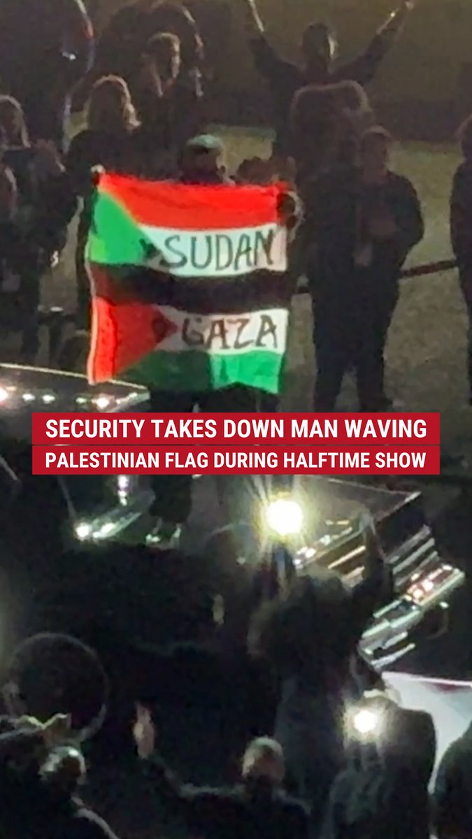 SECURITY BREACH: Anti-Israel protester storms the field during the Super Bowl LIX halftime show, waving the Palestinian flag before police tackle him to the ground.