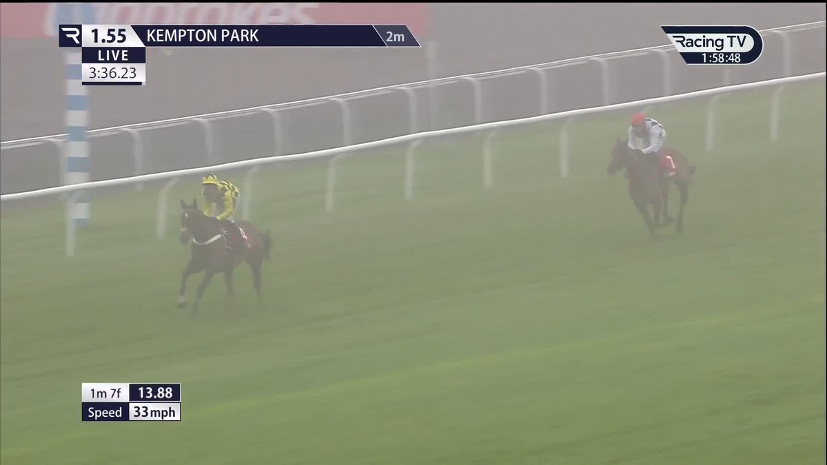 ❌ Officially official - Arkle favourite SIR GINO has been ruled out of the 2025 Cheltenham Festival.
