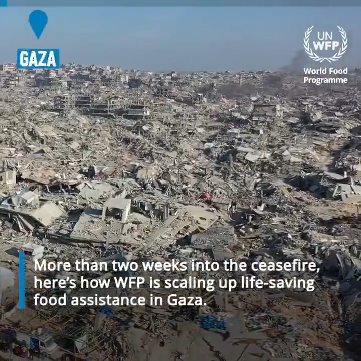 The war in Gaza has left more than 2 million people entirely dependent on food assistance. From fresh bread in local bakeries to food parcels and cash-based aid, World Food Programme is scaling up life-saving support to reach those in urgent need.