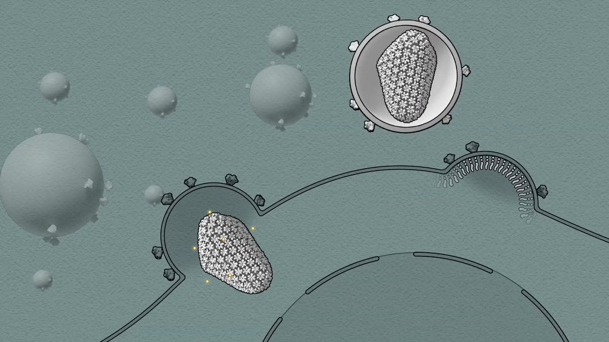 The Science staff named lenacapavir as the 2024 Breakthrough of the Year, but there were many other research advances that caught our attention last year. Watch to learn about the impact of these other achievements on science and society: