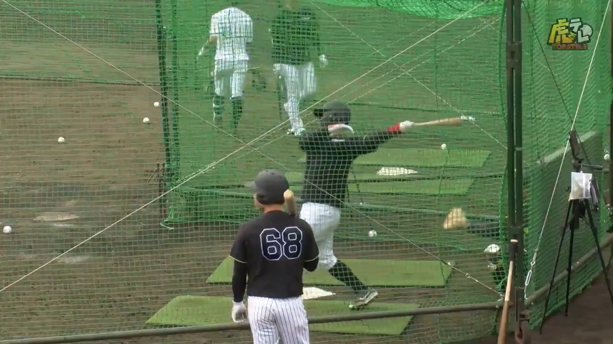 【宜野座】先日の紅白戦で活躍した野口選手！今日も快音を轟かせます！ #hanshin #虎テレ #阪神タイガース 虎テレでは春季キャンプをライブ配信