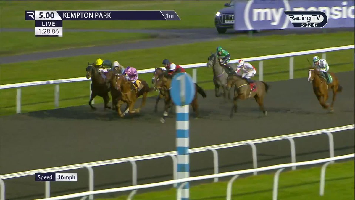 Gamble FOILED 🤦♂️ Plunge horse All Cost is denied in a head-bobber by Take The Boat. Kempton Park Racecourse