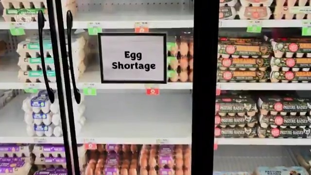 As egg prices soar, Iowa farmer LaVon Griffieon keeps hers at $5.00 a dozen, limiting customers to two dozen at a time. Her 123-year-old family farm produces its own feed to cut costs and reduce the risk of bird flu — ensuring fresh eggs straight from the coop.