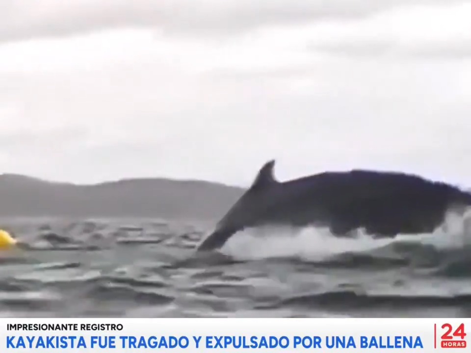"Estrecho de Magallanes": Por comentarios sobre lo que sucedió en Chile