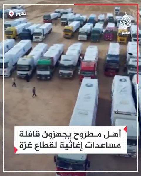 بجهود شعبية.. أهالي مطروح يجهزون موكبًا من عشرات الشاحنات لتسيير قافلة إغاثية إلى قطاع غزة