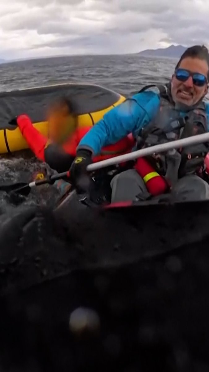 This is the moment a kayaker in Chile narrowly escaped death when a humpback whale swallowed him whole before releasing him unharmed: