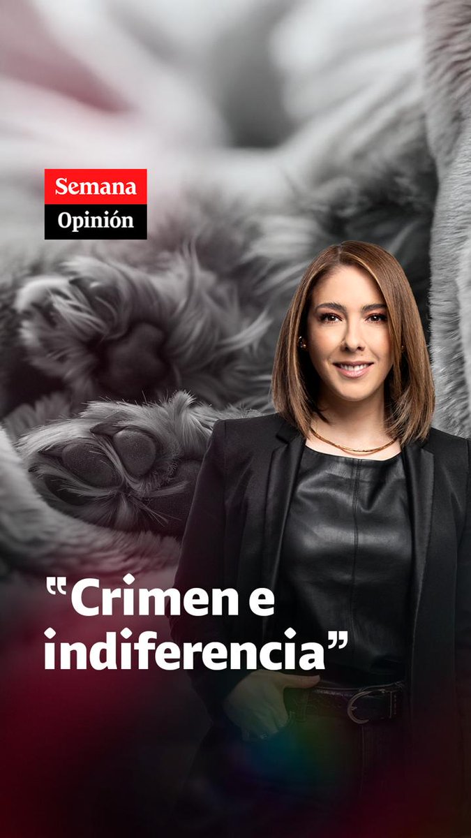 Un perrito murió de hambre porque lo dejaron encerrado en un balcón 30 días. ¿Cómo es posible que sigan ocurriendo estos actos de crueldad sin consecuencias? ¿Habrá justicia?