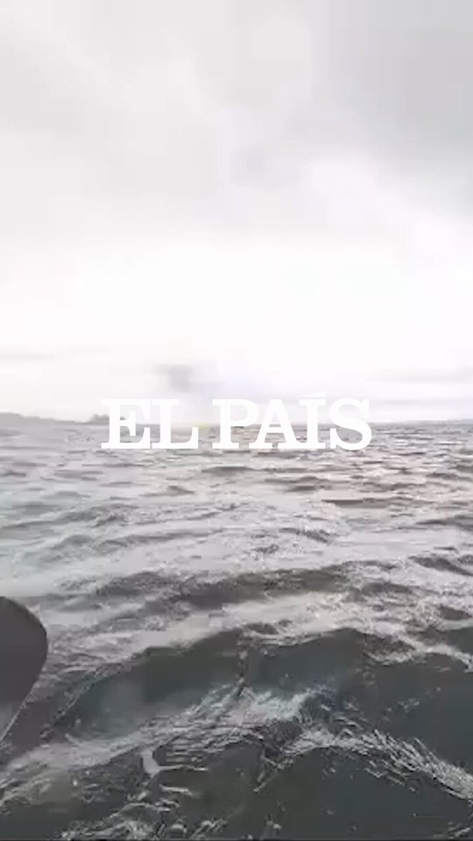 🇨🇱 | Adrián Simancas, venezolano de 24 años, hacía kayak con su padre cuando una ballena le engullió y escupió en la bahía El Águila, en Punta Arena, Chile: “Sentí una textura viscosa rozar mi cara. Cuando estuve dentro de ella, me acordé de Pinocho”.