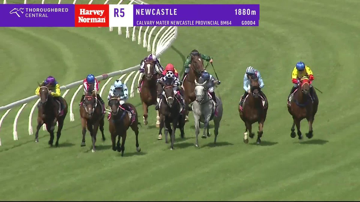 👏 Grant buckley's back! He rides a treble at Newcastle Racecourse as Binkou wins the fifth!