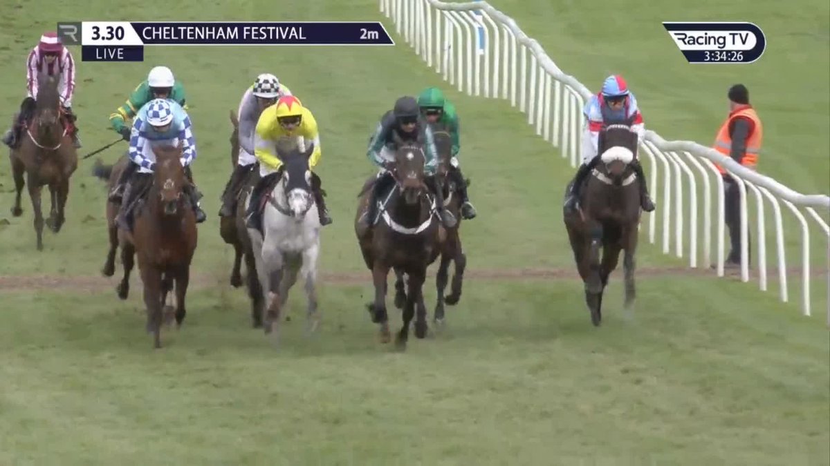 ALTIOR 🤝 CHELTENHAM GOOSEBUMPS EVERY TIME 🤩 🗣️ "ALTIOR JUST DOESN'T WANT TO LET HIS CHAMPIONSHIP GO" 🎬 Racing TV