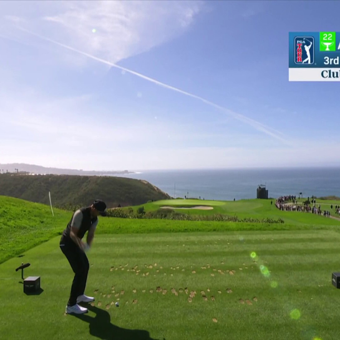 Kinda how a Swedish robot programmed to win golf tournaments would swing and react to an ace, isn’t it?