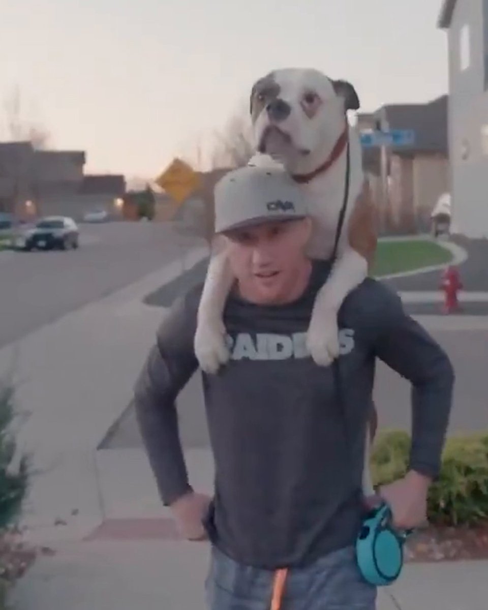 It's been almost five years since Justin Gaethje showed us how he walks his dog ❤️ #UFC313 (via UFC)