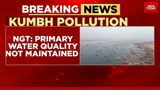 National Green Tribunal flags Kumbh water pollution; high levels of fecal bacteria in Ganga #MahaKumbh #ITVideo | Pooja Shali Aneesha Mathur